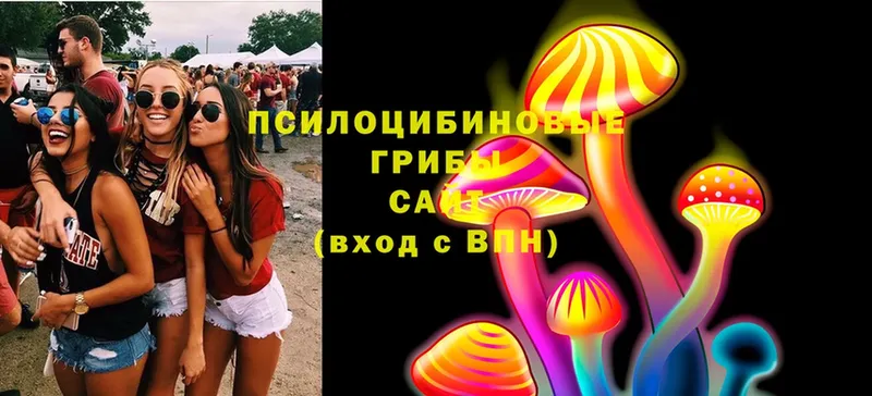 mega как войти  Ейск  Галлюциногенные грибы MAGIC MUSHROOMS 